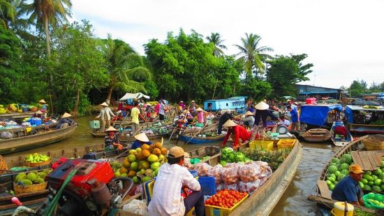 Tiền Giang - Kiên Giang - Cà Mau - Cần Thơ